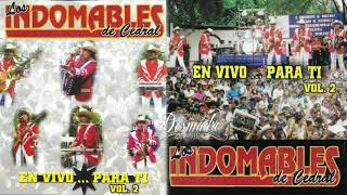 2002 Los Indomables de Cedral En Vivo Para Ti Vol 2 [upl. by Atirb]