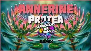 Annerine  Protea  Afrikaans Wil Dans Remix [upl. by Airpac]