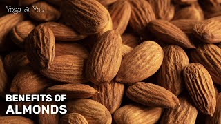 Health Benefits of Almonds  Remedy for Antioxidant Boost  Benefits of Soaked Almonds [upl. by Anialad]