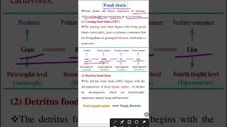 Food chain  Ecosystem class 12 [upl. by Phi]