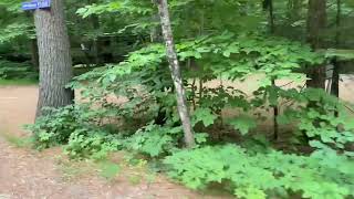 Danforth Bay Campground part 4 [upl. by Karie630]