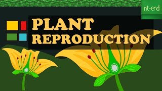 PLANT REPRODUCTION IN ANGIOSPERMAE biology reproduction plants [upl. by Ola]