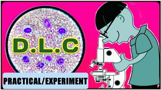 DLC Test  WBC Differential Count  Differential Leukocyte Count [upl. by Htes]