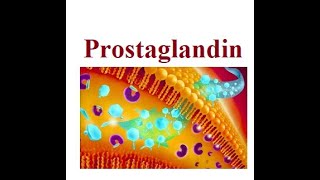 Prostaglandin structure and functions  2024 [upl. by Goldner364]