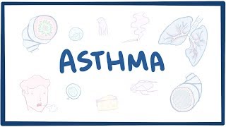 Asthma  causes symptoms diagnosis treatment pathology [upl. by Kynan773]