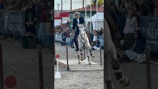 Working Equitation 🇵🇹Istambul amp Bruno Pica 2024 Golegã horse equitation equestrian [upl. by Yelrebmyk]