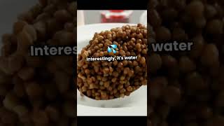 Vitamin B1 chemistry trending facts science sciencefacts biology youtube ytshorts ytviral [upl. by So340]