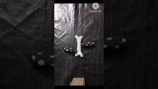 Clay dogs 🐕 fight on a 🦴 bone short virelvideo [upl. by Ecylahs292]