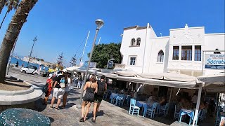 Kos town I GREECE I Dodecanese Island💙🤍💙 [upl. by Ayatan]