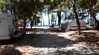 Camp site Pineta  Savudria  Istria [upl. by Shari820]