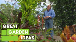 How to Grow Bromeliads  GARDEN  Great Home Ideas [upl. by Rufe]