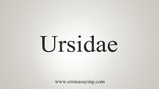 How To Say Ursidae [upl. by Treharne]