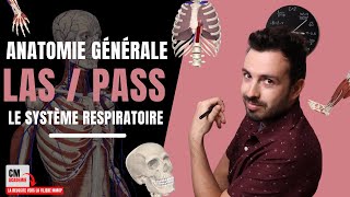 ANATOMIE GENERALE 🦴  Le système respiratoire pharynx trachée poumon alvéoles pulmonaires [upl. by Ezirtaeb]