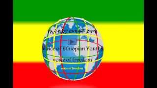 interview with Arbega Nurjeba Assefa Ethiopia Wetatoch Dimts 02022014 [upl. by Westney]