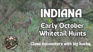 Indiana Early October Whitetail Hunting [upl. by Katonah163]