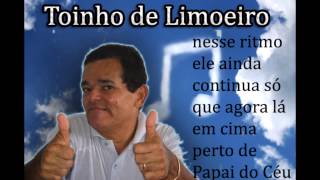 Toinho de limoeiro  Teu amor Mexe Comigo [upl. by Clein711]