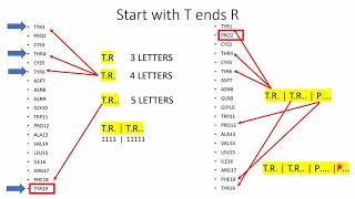 Selecting Residues Using Regular Expressions  Discovery Studio Visualizer  Lesson 4 [upl. by Elik]