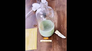 Citrus Multi Purpose Cleaning Spray Recipe [upl. by Roley]