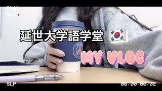 延世大学語学堂🇰🇷留学生の1日／🕰️学校での時間割／北村韓屋村／☕️カフェ巡り [upl. by Warren]