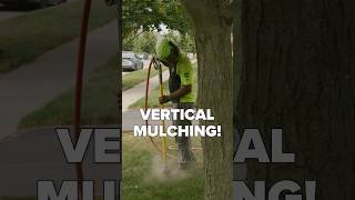 Vertical mulching to save trees treework arborist shorts [upl. by Leiba699]