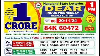 Nagaland Lottery Result 1pm 20112024  Official  Dear Lottery [upl. by Buford438]