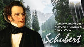 Schubert Complete Impromptus Moments Musicaux amp Klavierstücke [upl. by Essyle]