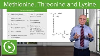 Methionine Threonine and Lysine Metabolism – Biochemistry  Lecturio [upl. by Ahswat]