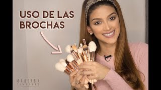 Como Usar las Brochas de Maquillaje  Makeup Brushes Zoeva [upl. by Olwena]