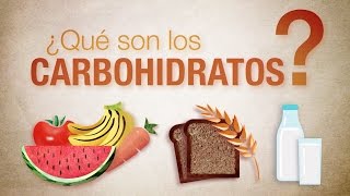 ¿Qué son los carbohidratos [upl. by Titos]