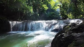 Babbling Brook Nature Sounds Birds Chirping Reduces Stress [upl. by Eisenberg60]