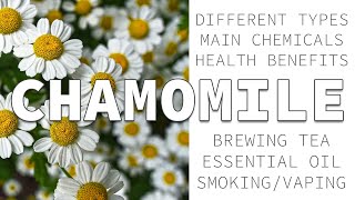 Chamomile Herbalism  Azulenes Health Benefits amp Uses [upl. by Enellij355]