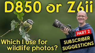 Part 2  Why I use my Nikon D850 for wildlife photography instead of my Z6ii Subscriber comments [upl. by Nalloh]