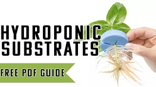 A SIMPLE Guide To Hydroponic Growth Medians  What Is the best way to start your plants [upl. by Noemi]