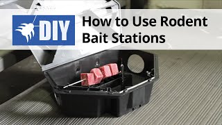 How to Use Rodent Bait Stations [upl. by Murtha196]