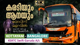 കരടിയും ആനയും ബസിന് മുമ്പിൽ  Kottayam to Bangalore KSRTC Bus via Mudumalai  Bandipur Tiger Reserve [upl. by Atnuahs]