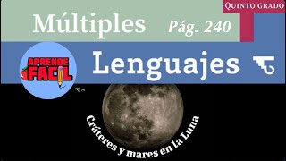 quotCráteres y mares en la lunaquot Múltiples lenguajes 5to grado Audiolibro Nuevos libros [upl. by Eilac]