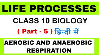 aerobic and anaerobic respiration class 10 in hindi [upl. by Reivaxe]