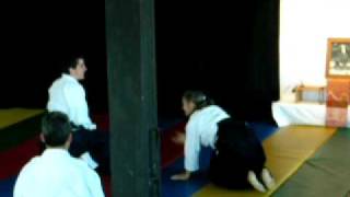 Aikido of Red Bank Keller Sensei at Hoboken Aikikai [upl. by Aznofla459]