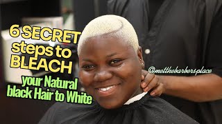 6 SECRET steps to BLEACH your Natural black Hair to White metthebarbersplace [upl. by Annocahs]