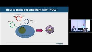 Basics of AAV Gene Therapy [upl. by Amalberga204]