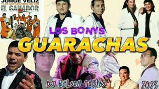 GUARACHAS SANTIAGUEÑA MIX 2023  Dj Nelson Tobías🔊🎶🔥🎵💯 remix guaracha [upl. by Bussey]