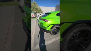 LAMBORGHINI URUS in Verde Selvans Exterior Color shorts watch lamborghini lambo urus cars [upl. by Maurita]