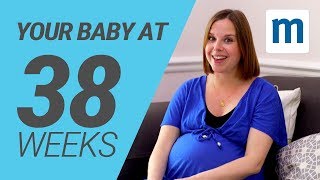 Your baby at 38 weeks  Pregnancy week by week [upl. by Frederigo]