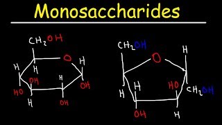 Monosaccharides  Glucose Fructose Galactose amp Ribose  Carbohydrates [upl. by Maroj]