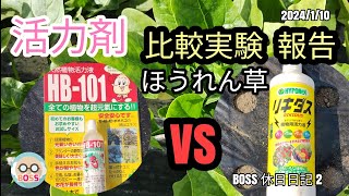 活力剤 リキダスとHB101の比較実験を ほうれん草で行いました 結果報告となります 肥料 [upl. by Eentroc]