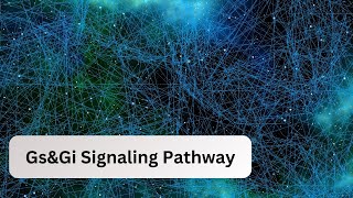 GsGi Signalling Pathway  Biochemistry  Kinnaird College [upl. by Llewon]