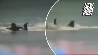 Horrible moment surfer is mauled by great white shark that bit off his leg [upl. by Lind167]