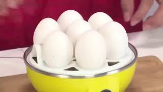 Automatic electric Egg poacher [upl. by Sarnoff]