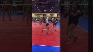 Libero Work  JVA West Coast Cup 2024 siennarivera shorts volleyball bavc [upl. by Ayikal]