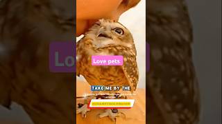 The love between humans and their petsPetLoveUnconditionalBondHumanAnimalConnection cute [upl. by Sigismond]